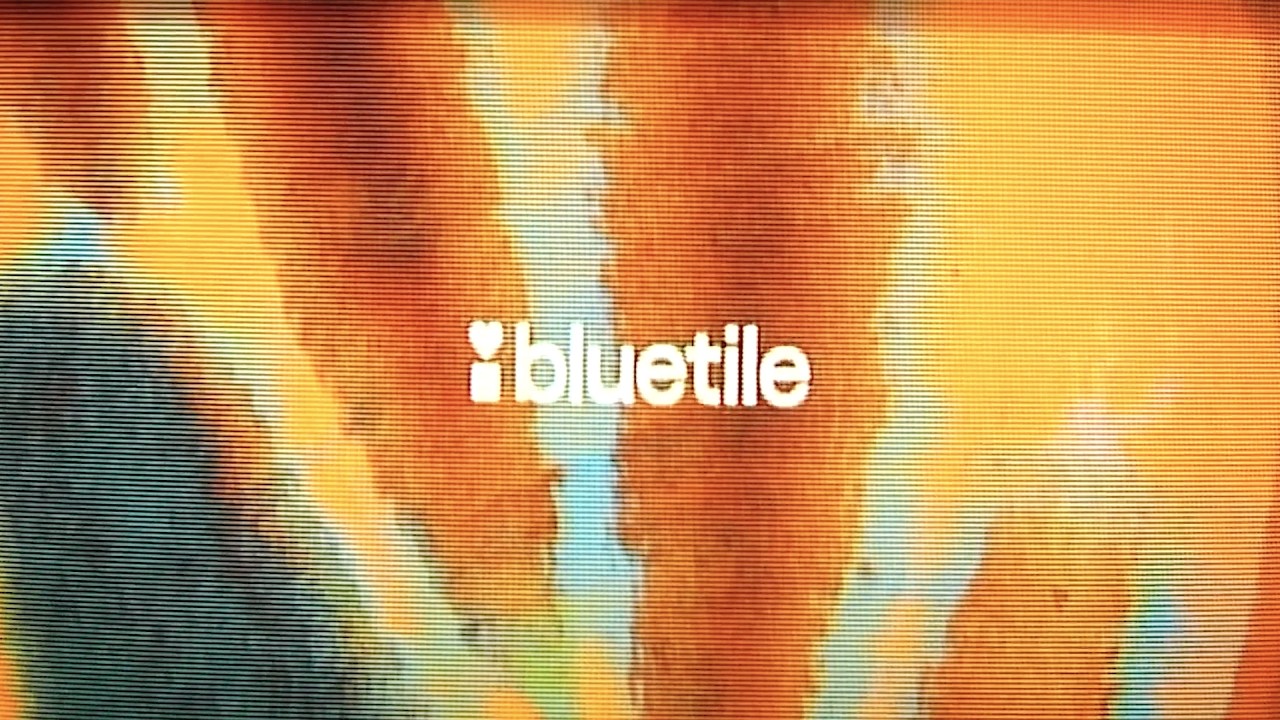 Nike SB - Bluetile Skateboards cover