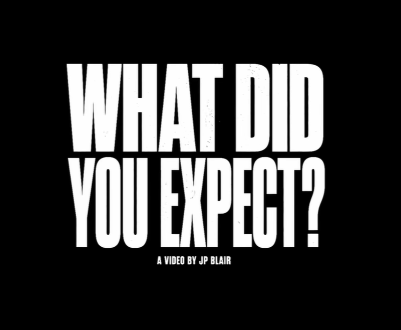 WHAT DID YOU EXPECT? cover