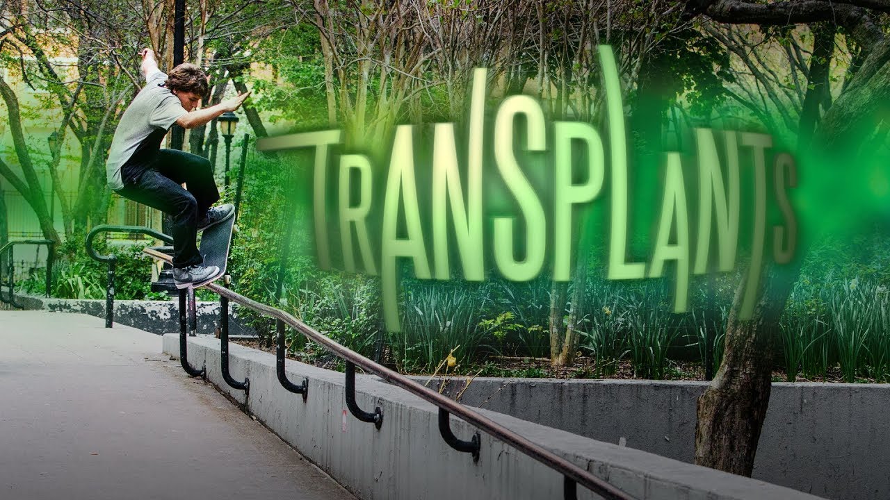 Transplants cover