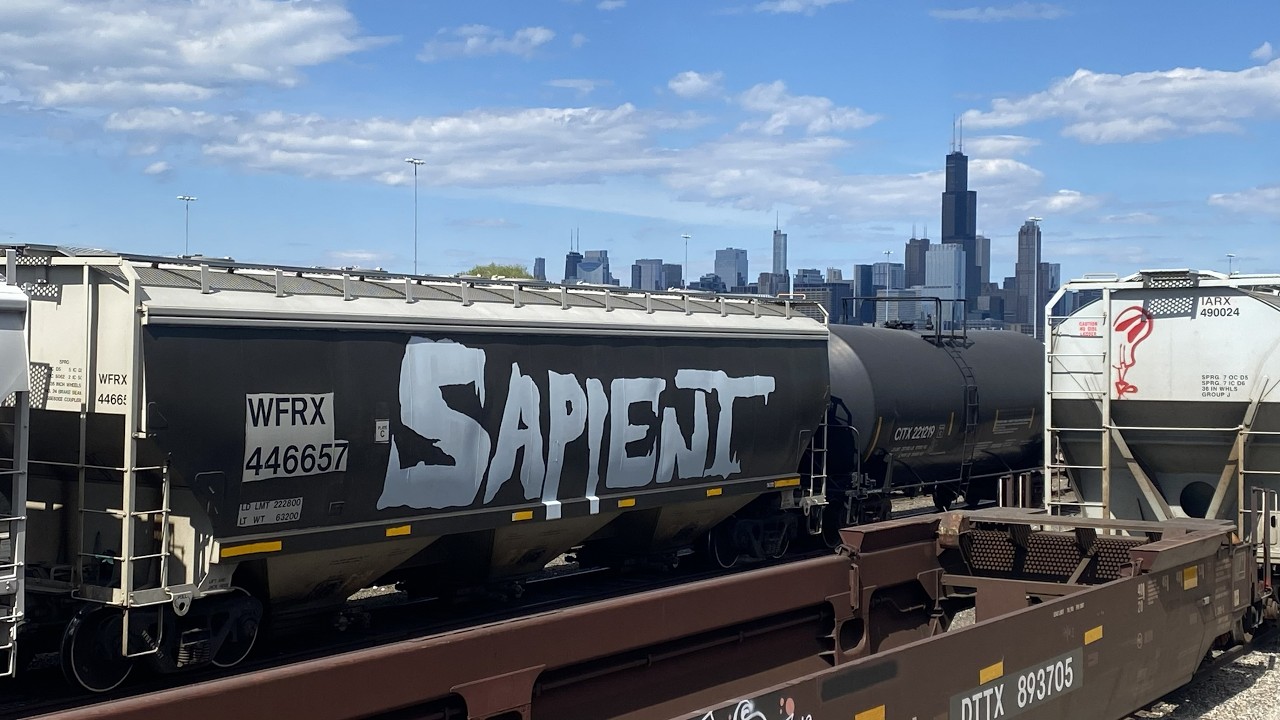  Sapient Skateboards - Made In Chicago cover